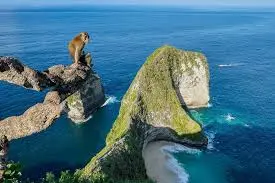 NUSA PENIDA SIGHTSEEING